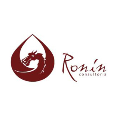 takt lean ronin